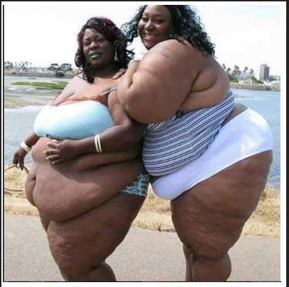Two Fat Lesbian 51