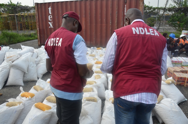 Image result for NDLEA apprehends inter-border drug in Adamawa