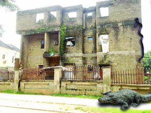 Inside Abuja Uncompleted Buildings Where Nigerians Live With Reptiles And Strange Animals