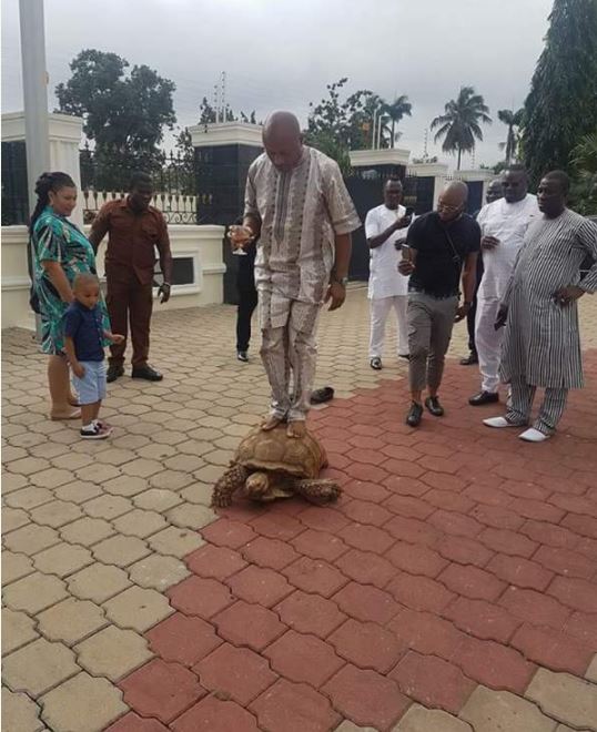 Fuji Icon, K1 Unveils His Huge Tortoise, Allows It to Carry His Guests (Photos)
