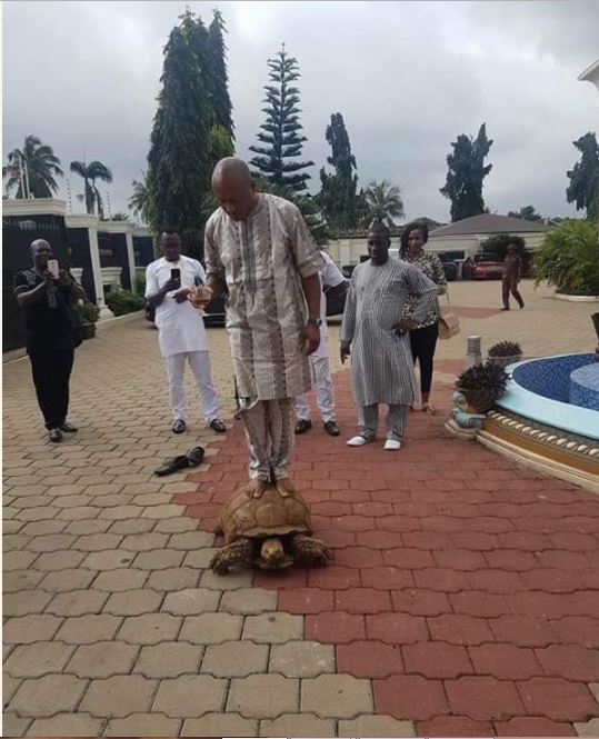Fuji Icon, K1 Unveils His Huge Tortoise, Allows It to Carry His Guests (Photos)