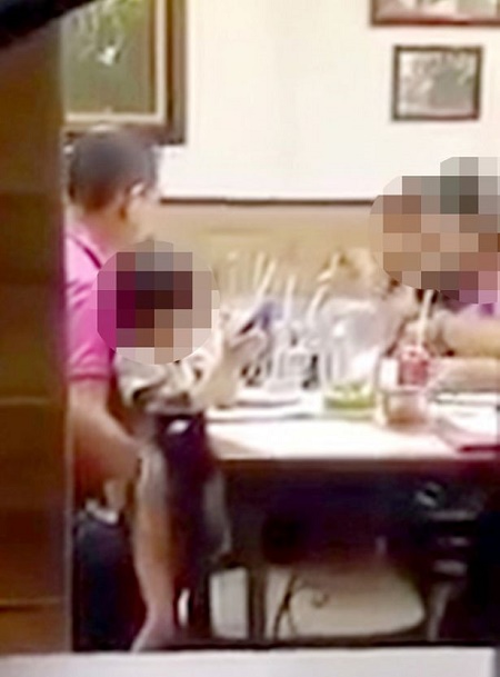 Horny Father in Trouble After He was Secretly Filmed Touching His Daughter ...