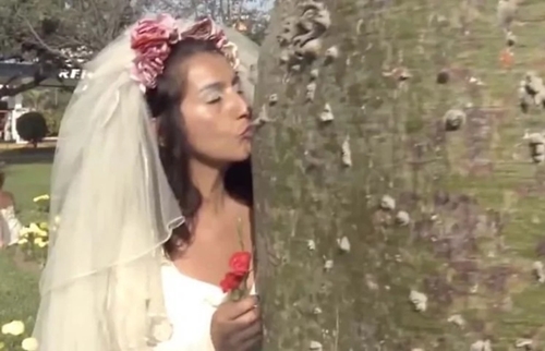 Brides Marry Trees in Bizzare Mass Wedding (Photos)