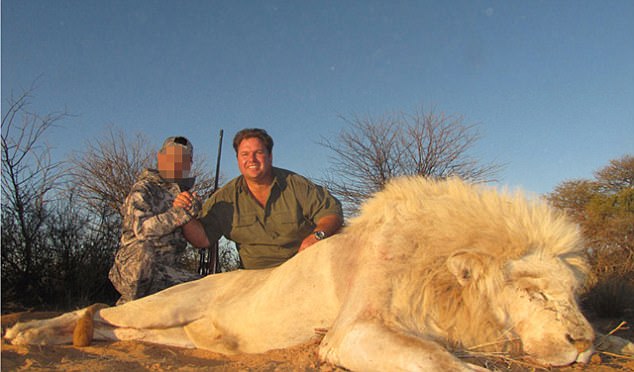 Sick Trade Where Lions Are Taken from their Mothers and Shot Dead, Their Bones Sold (Photos)