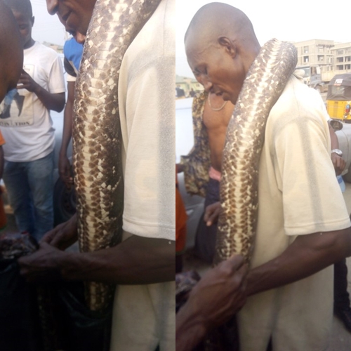 Man Spotted Hawking Huge Python On The Roadside (Photos)
