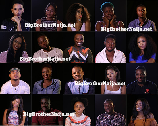 Meet The 20 BBNaija 2018 Housemates, Their Profiles And Photos