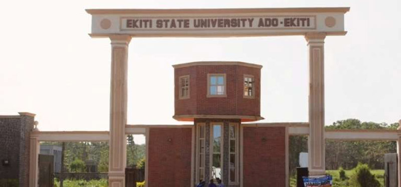 Ekiti lecturer sacked