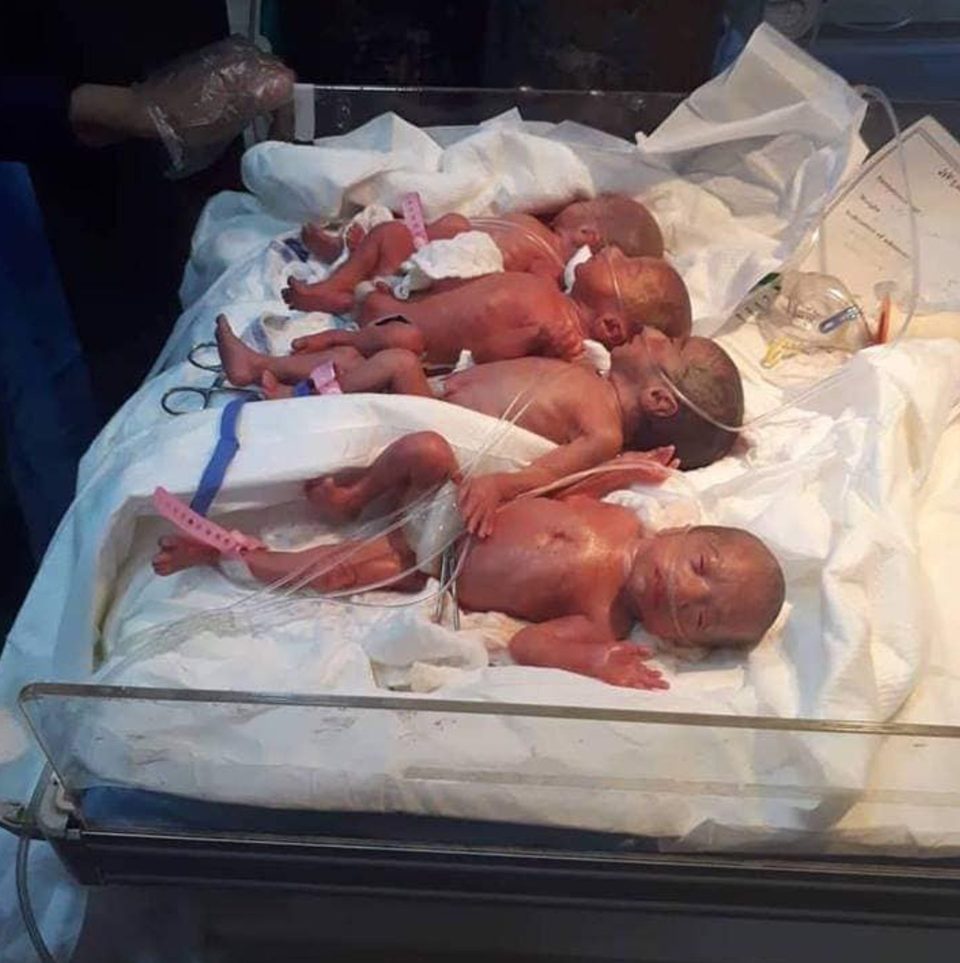25-Year-Old New Mum Gives Birth 7 Healthy Babies In Single Birth