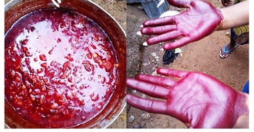 Woman Shares Photos Of Fake Palm Oil She Bought In Abuja 