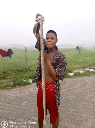 Federal University Otuoke, Bayelsa State, snake