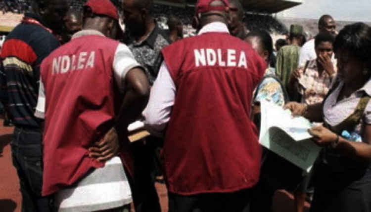 Boko Haram drug supplier