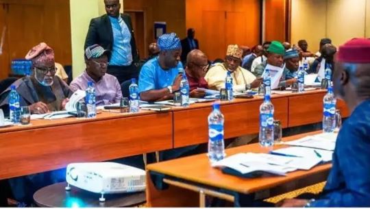 Nigeria Governors&rsquo; Forum