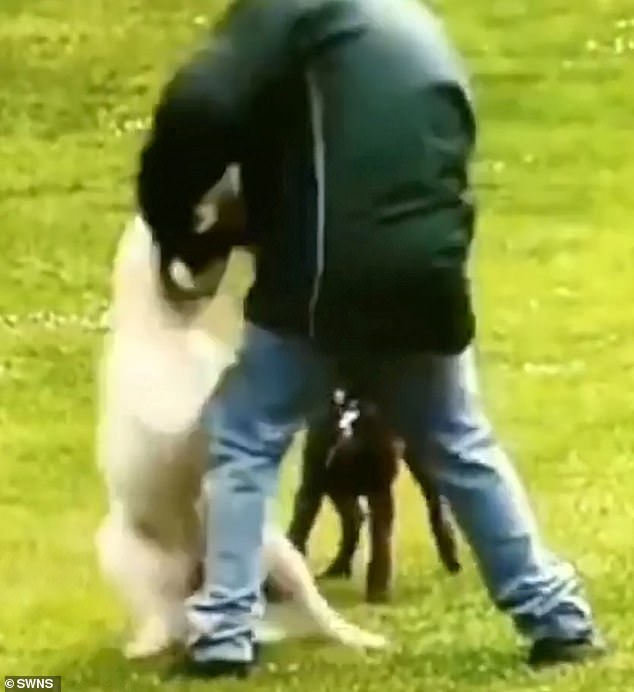 dog owner