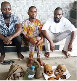 cemetery worker sells skulls