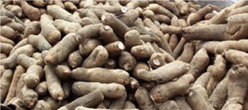 Yams