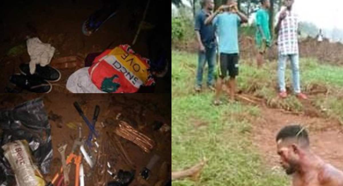 The vandals were beaten to death