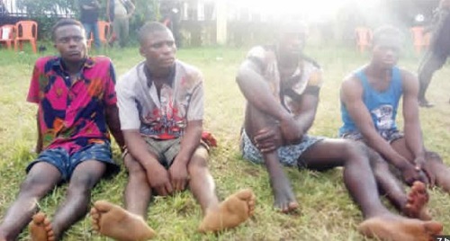 The suspected robbers