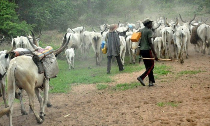 HERDSMEN