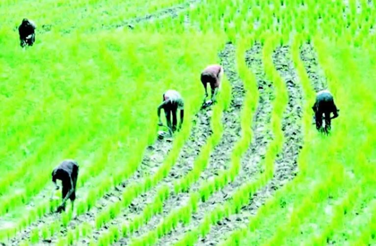 Farmers more sexually active