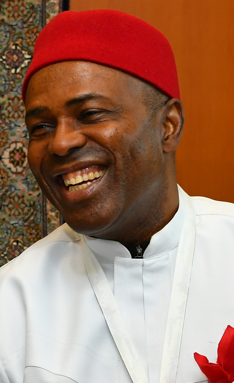 Minister of Science and Technology, Dr. Ogbonnaya Onu