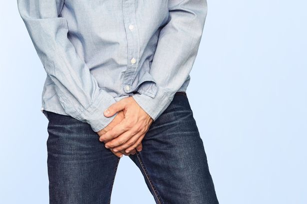 testicle