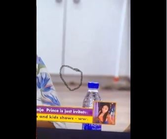 Rat spotted running around BBNaija house