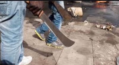 Lagos Assembly Considering To Punish Parents Of Cultists