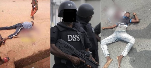 The IPOB members were killed in broad daylight by a combined team of DSS, Police and Nigerian army in Enugu