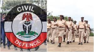 Nigeria Security and Civil Defence Corps, Nigeria Immigration Service