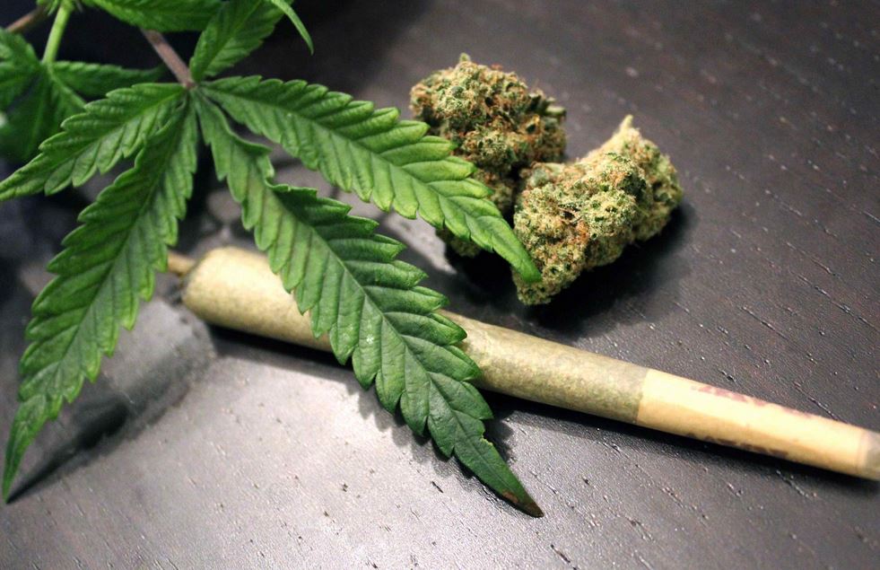 weed