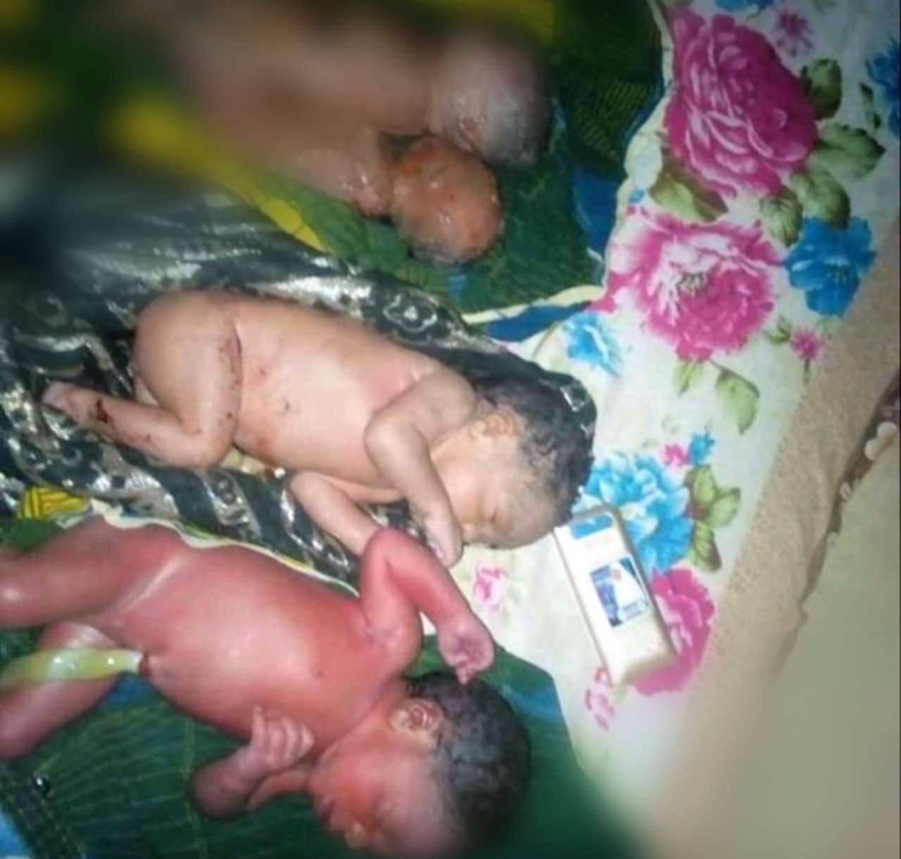 woman births quadruplets 