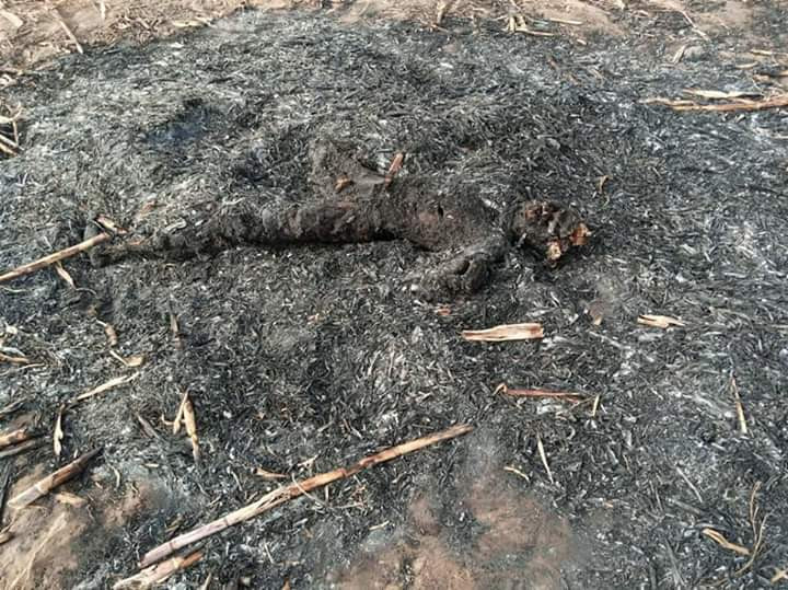 Bandits killed during shootout with police and vigilante