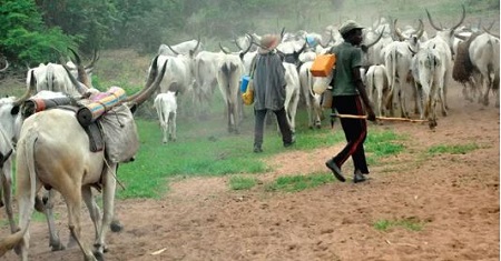 Herdsmen