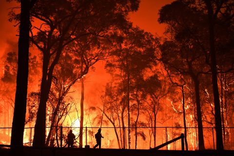 bushfire