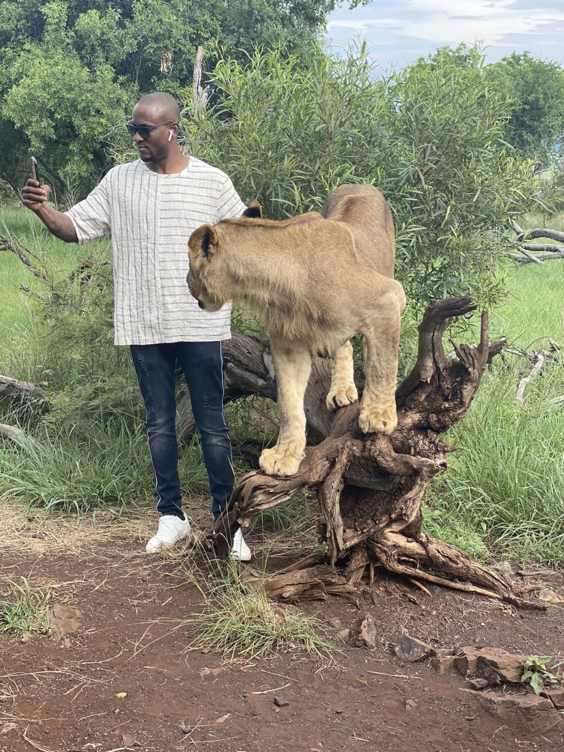 Omashola Kola Oburoh posing with lions