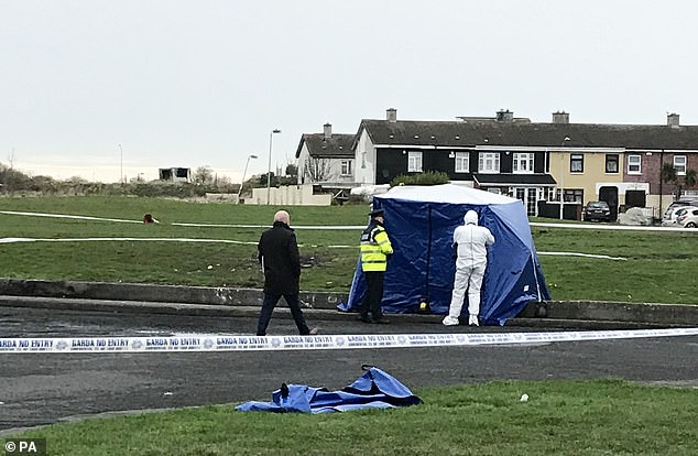 human remains in car