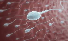 semen