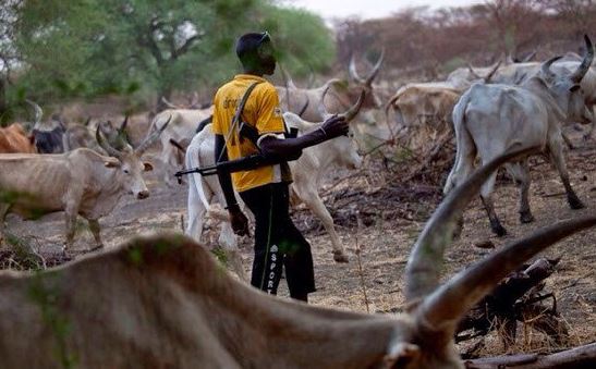 herder