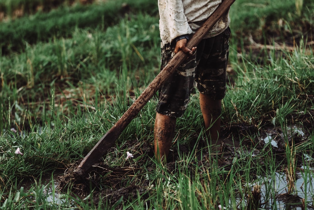 man kills wife with hoe