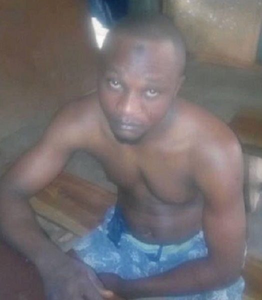 Alfa after he was caught