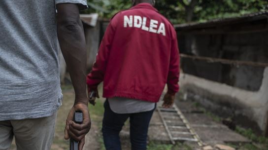 NDLEA