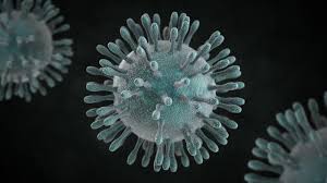 corona virus