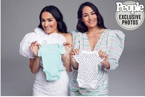 Nikki and Brie Bella