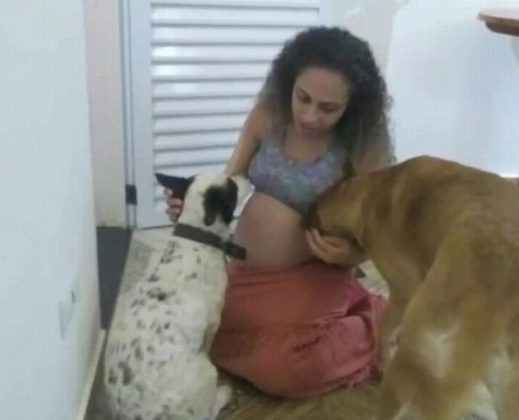 The dog mauled the twin girls to death in Brazil