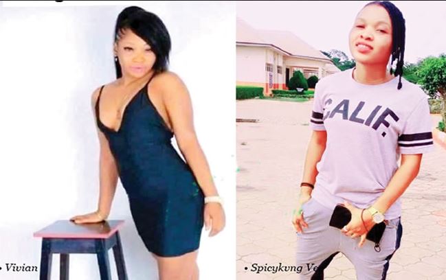 Spicykvng Vee
