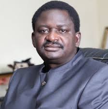 Femi Adesina