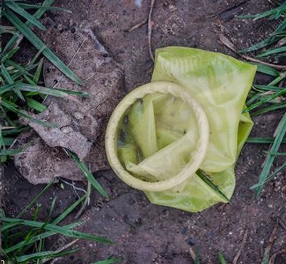 Condom