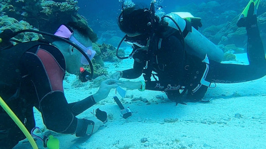 The man proposed to his girlfriend 33 feet under water