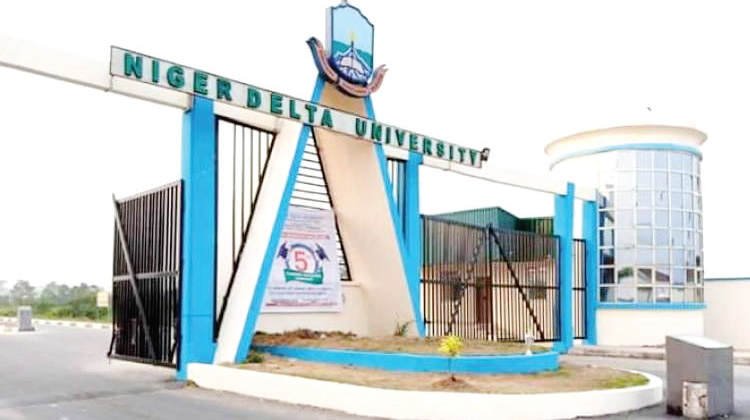 Niger Delta University 