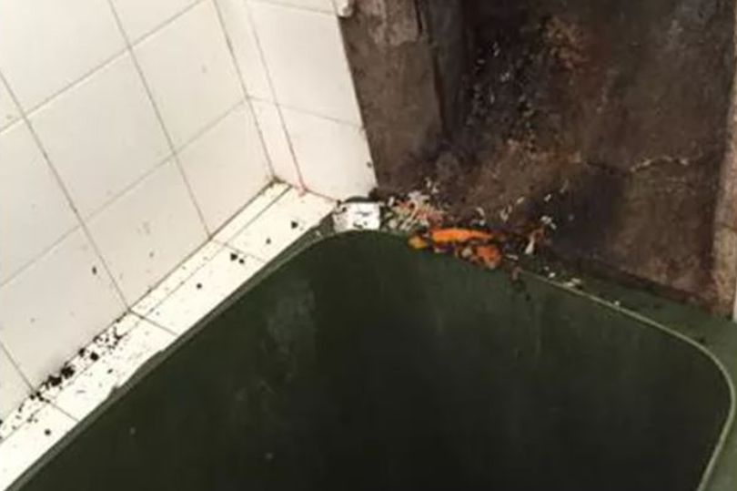 Ana Carolina Moraes da Silva